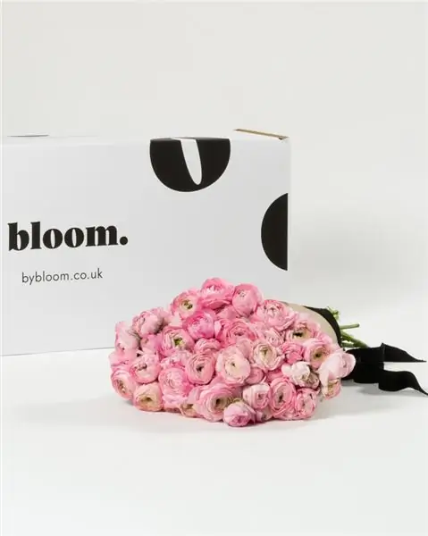 By Bloom Балетные тапочки Розовые ранункулюсы By Bloom Балетные тапочки Розовые ранункулюсы