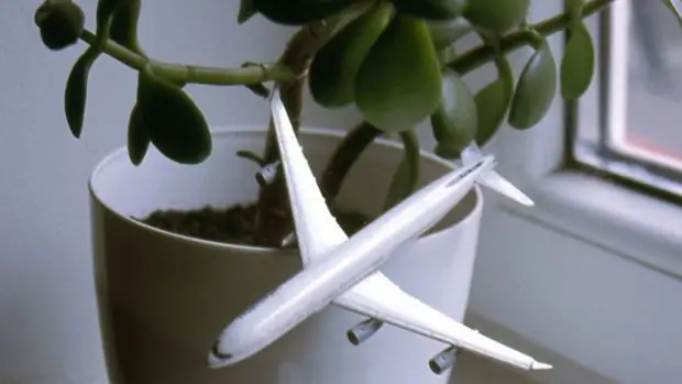 Этот милый человек на Reddit может помочь вам найти дешевые авиабилеты