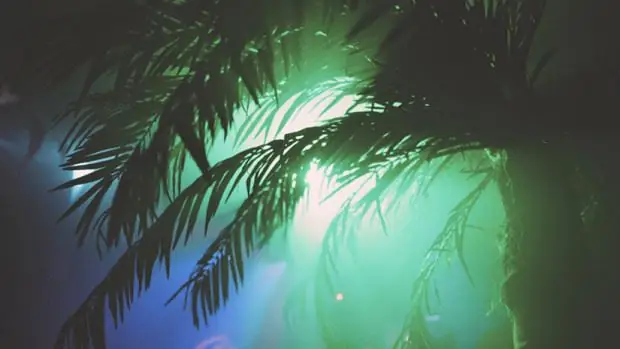 Лучшие вечеринки на этих выходных, которые отправят вас в приключение на весь день