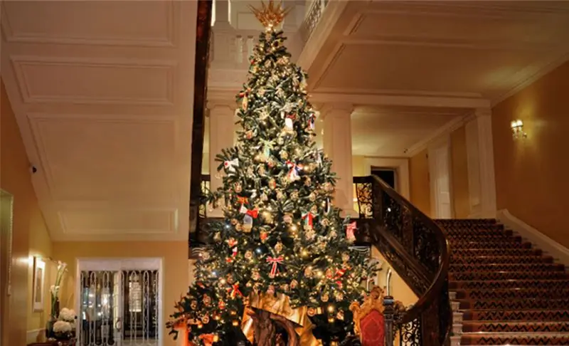 Праздничная мода! Dolce & Gabbana Design Рождественская елка Клариджа