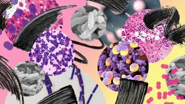 Ваш старый макияж может спровоцировать менингит