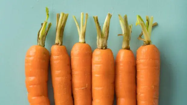 «Агрессивные» веганы отбивают у мясоедов отказ от мяса