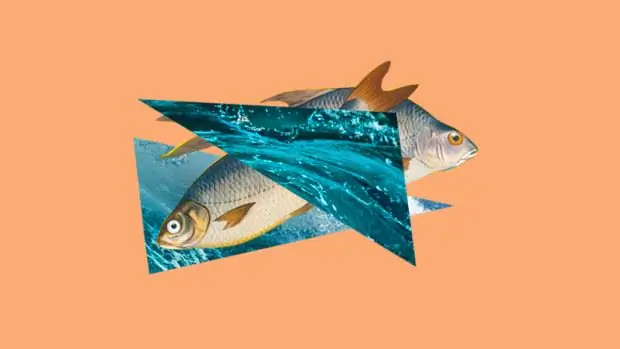 Вещи, которые вы знаете, только если ненавидите морепродукты