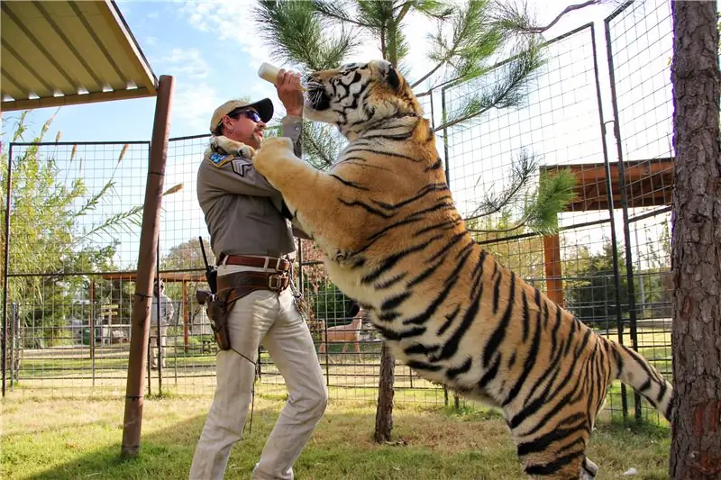 Tiger King: Можем ли мы перестать уделять Джо Экзотику столько внимания, пожалуйста?