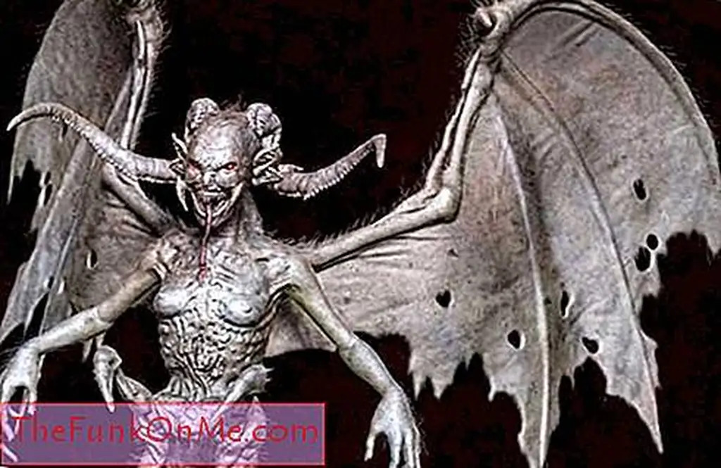 Image Image