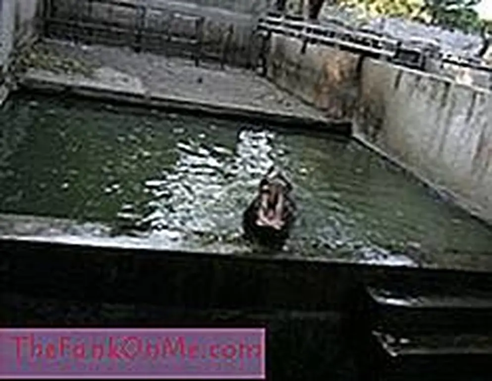 Image Image