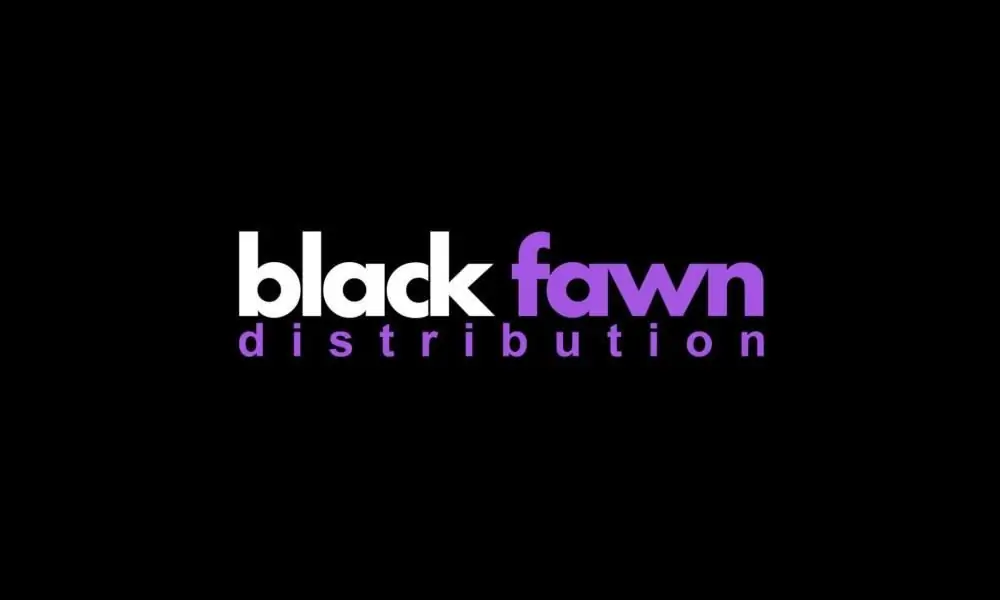 [Интервью] Взгляд на рынок домашнего видео с распространением Black Fawn