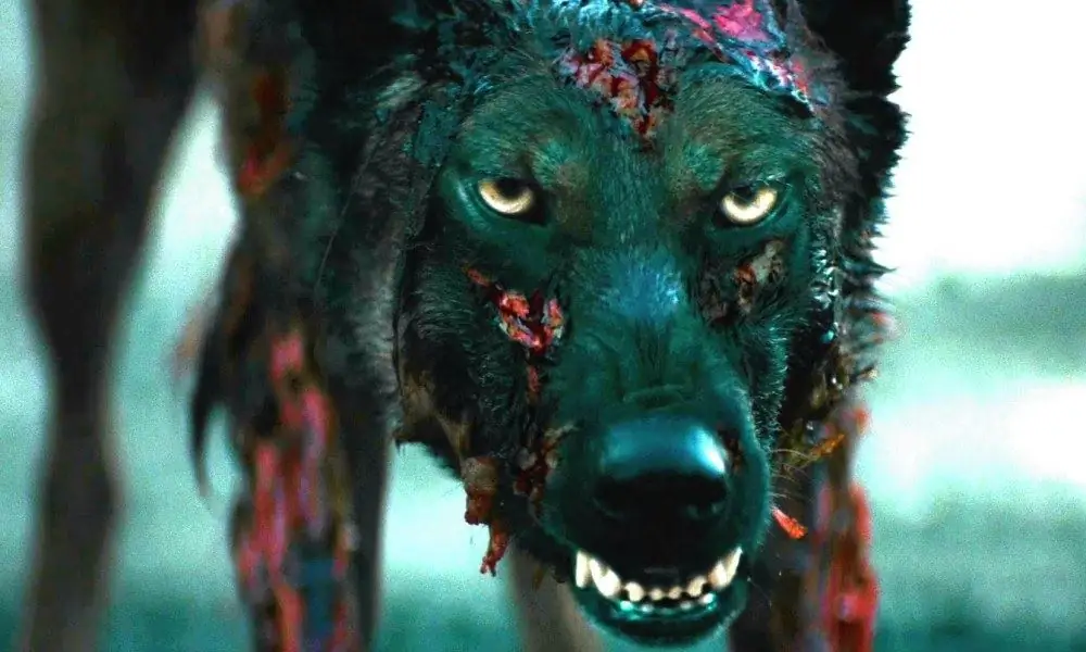 И «The Pack», и «Cabin Fever» появятся на домашнем видео в июле этого года