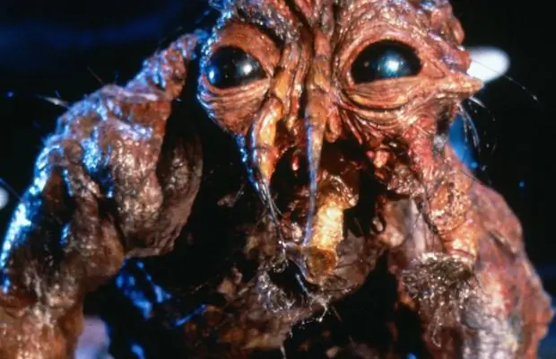 Какие ваши любимые научные