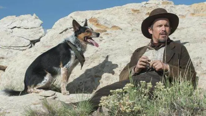 Ти Уэст выпустил видео «In a Valley of Violence» для дома отдыха