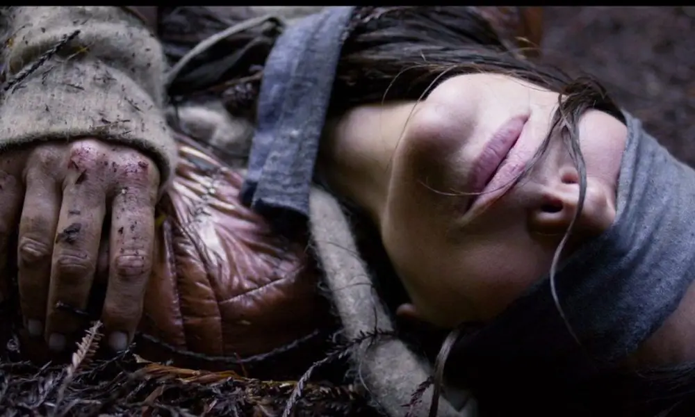 Почти 30 миллионов подписчиков в США посмотрели «Bird Box» за первую неделю, сообщает Nielsen