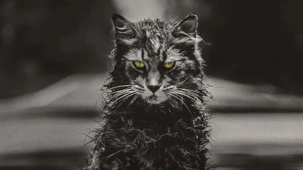 Совершенно новый трейлер «Кладбища домашних животных» вылезает из могилы завтра утром