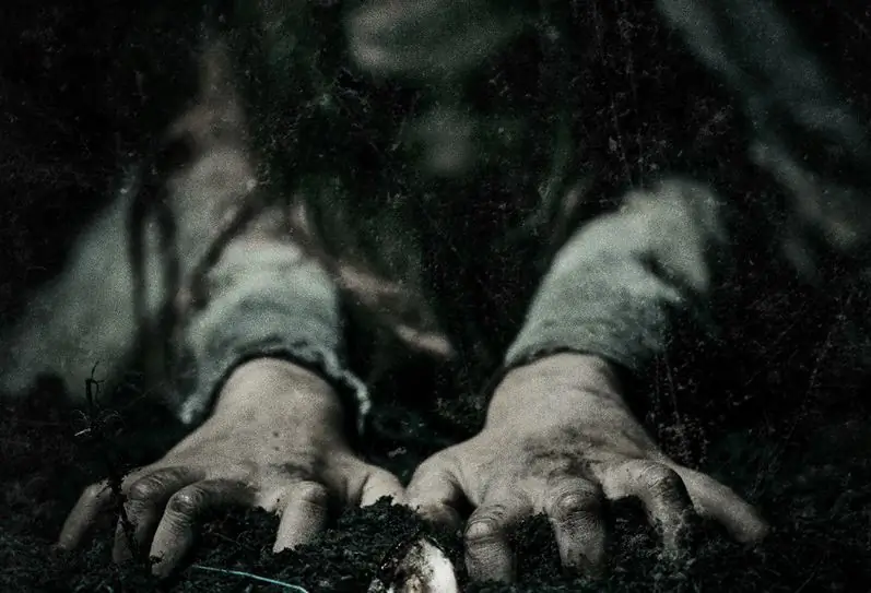 Удивительный плакат «Кладбище домашних животных» выкапывается из кислой земли