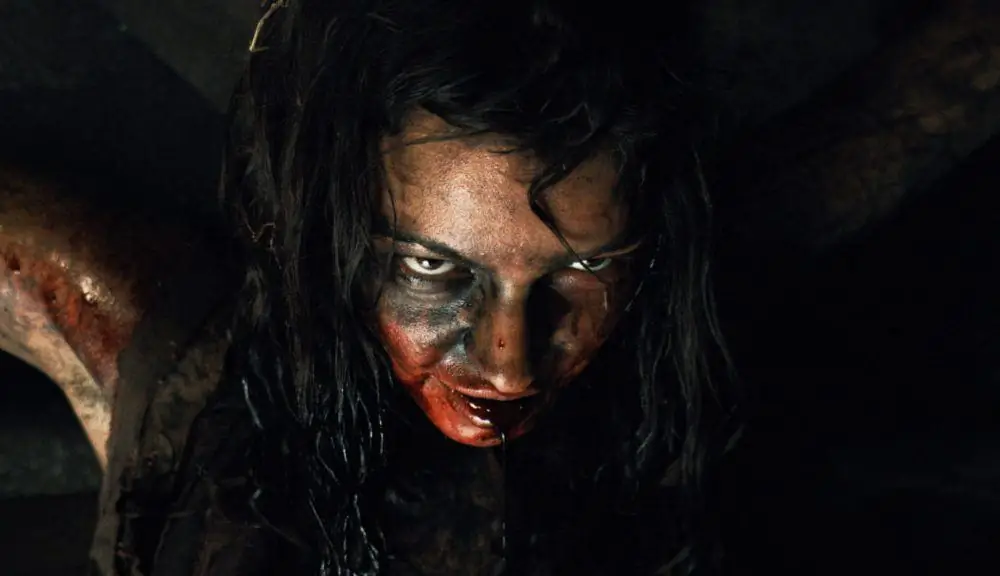 Постер к фильму «Дорогая» Поллианны Макинтош дает нам первое представление о сиквеле «Женщины»