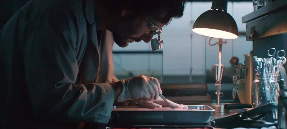 Chimera Strain' пересаживает органы из свиньи [эксклюзив]