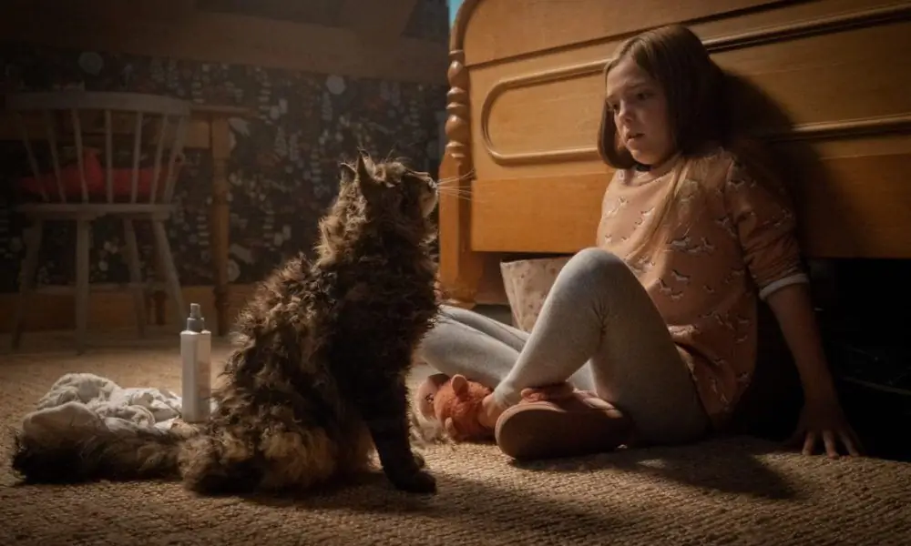 Выиграйте билеты на показ «Кладбища домашних животных» Brooklyn Horror Fest и познакомьтесь с котом Черчем