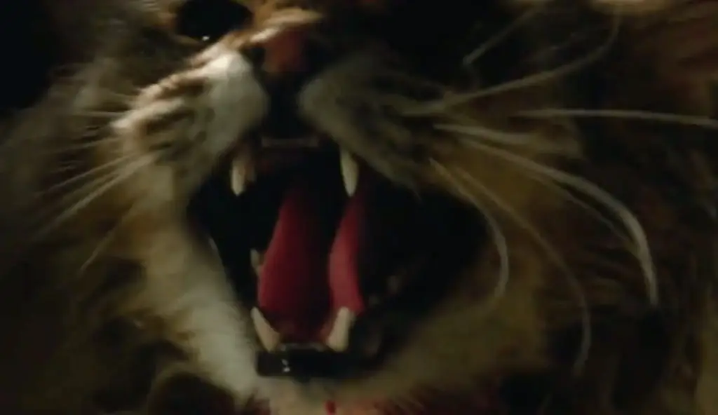 [Видео] Церковь возвращается из могилы в новом клипе «Кладбище домашних животных»