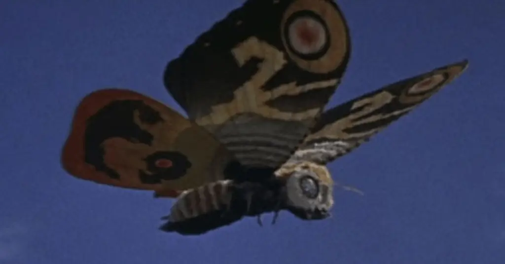 Впервые в Северной Америке «Mothra» выходит на Blu
