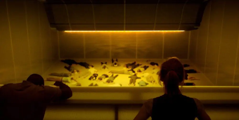 Эксклюзивный клип 'Aniara' не предлагает защиты от человечества