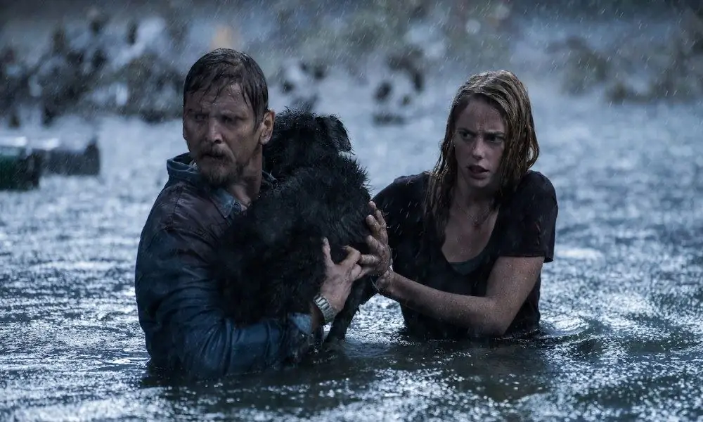 Интервью: Александр Ажа объясняет судьбу собаки в «Crawl» [Спойлеры]