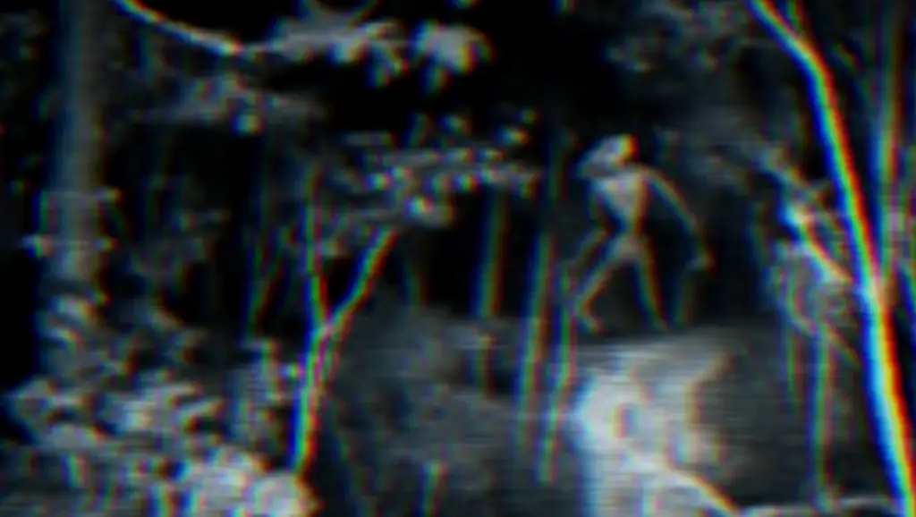 Настройтесь на Или еще: Крис Страуб создал вирусный интернет-кошмар с помощью «Local 58»