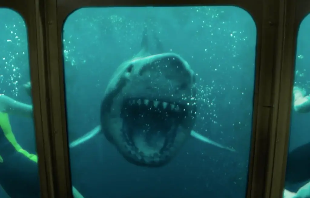 Напряженный трейлер '47 Meters Down: Uncaged' плывет по подводному лабиринту ужасов [видео]