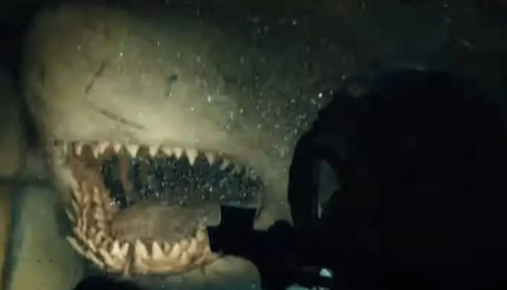 Ужасающий ужас нападения акулы в центре внимания в этом клипе «47 метров вниз: Uncaged»