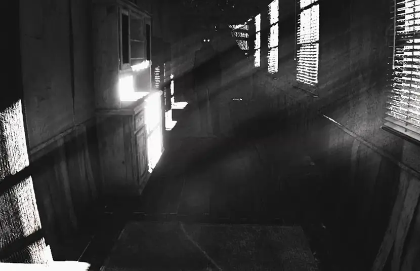 RG Crew объявляет об альтернативе «Антологии темных картинок» в «Антологии страха»