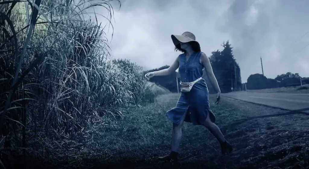 [Трейлер] Заблудитесь со Стивеном Кингом и Джо Хиллом в фильме «В высокой траве» на Netflix в октябре