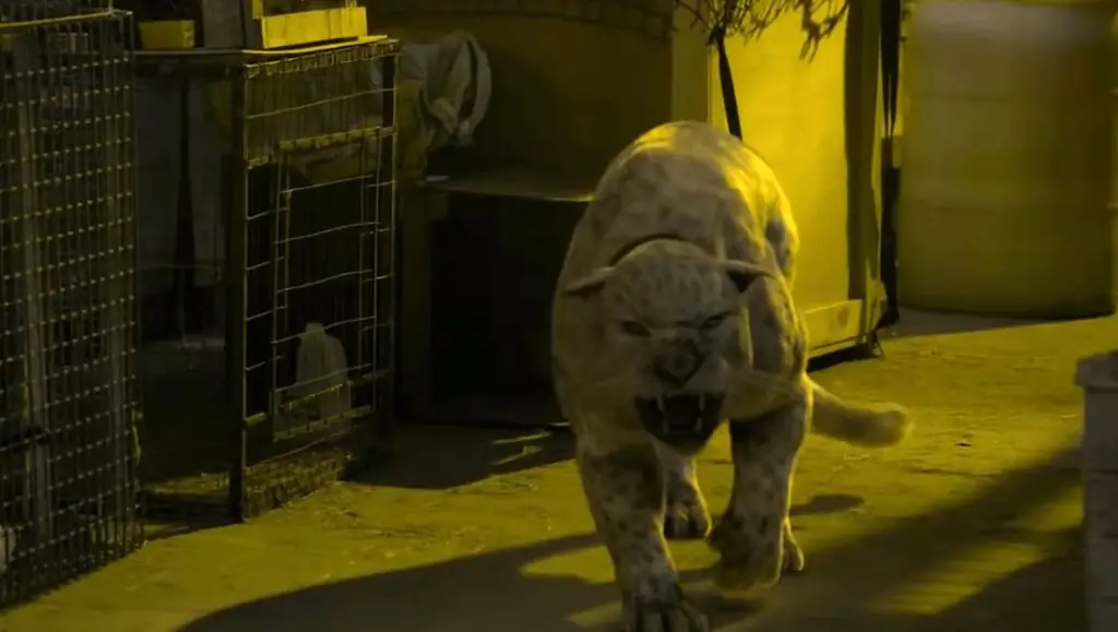 [Трейлер] Николас Кейдж застрял на корабле с убийцей и голодным ягуаром в действии