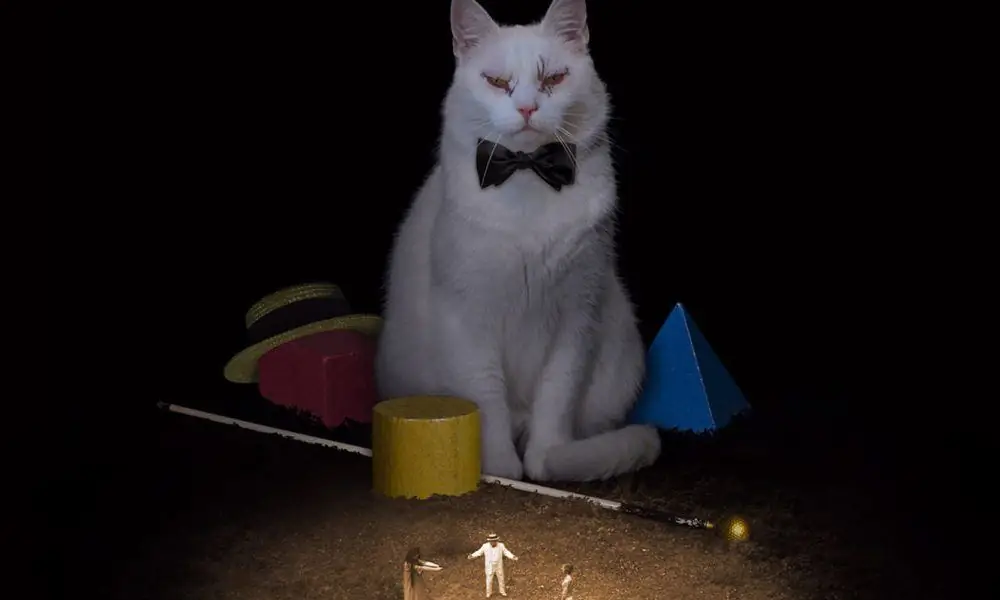 Dark Star Pictures отмечают «День сурка»