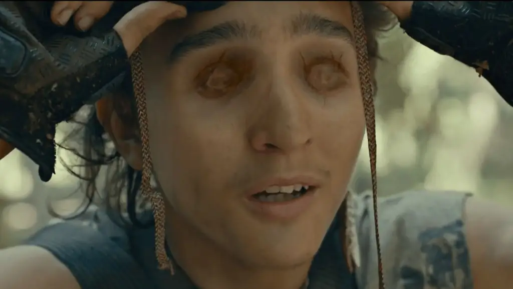 Пост директора "Баскин"