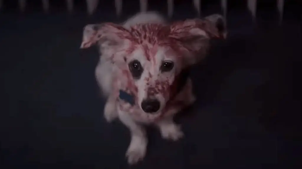 Собака эмоциональной поддержки убивает своего хозяина в фильме режиссера Tragedy Girls «Хороший мальчик» [трейлер]