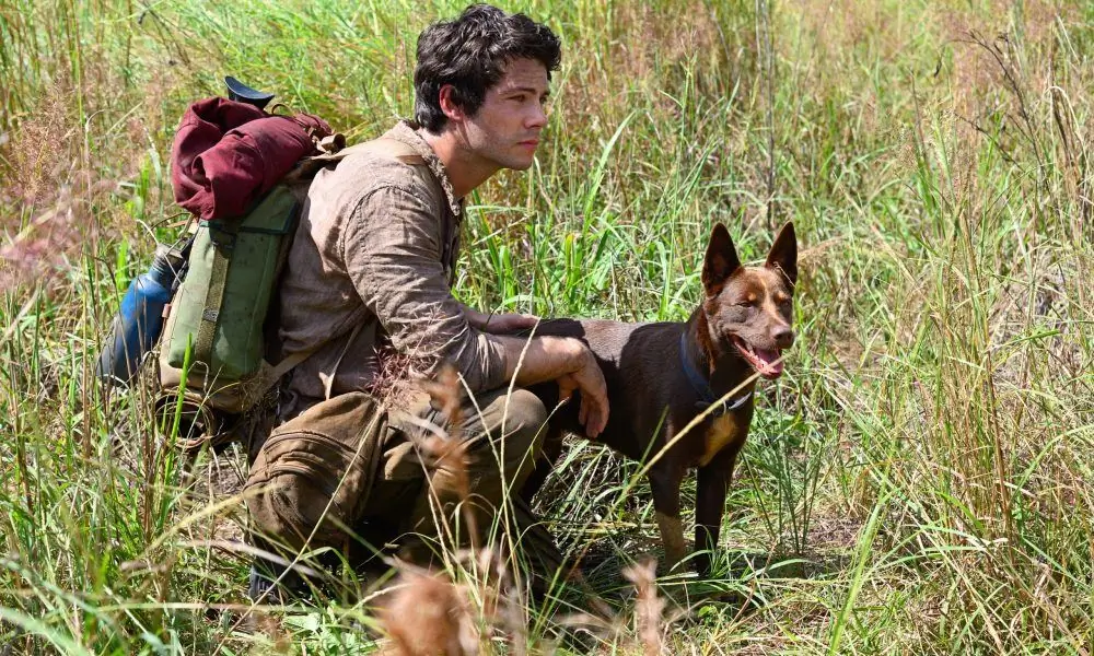 «Проблемы монстров» от Paramount теперь называются «Любовь и монстры» и приближаются к