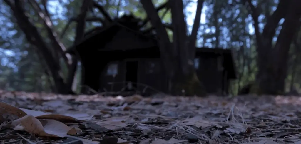 «Не двигаться»: грядущий роман ужасов обещает использовать ваш страх перед пауками [эксклюзивный трейлер]