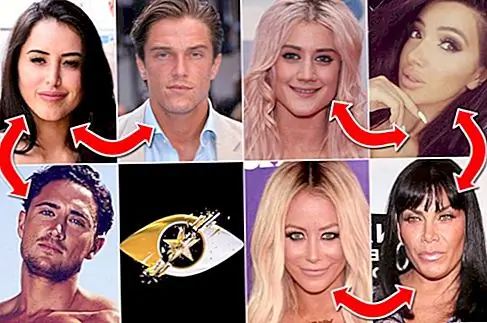 Знаменитый большой брат - что думает в Интернете