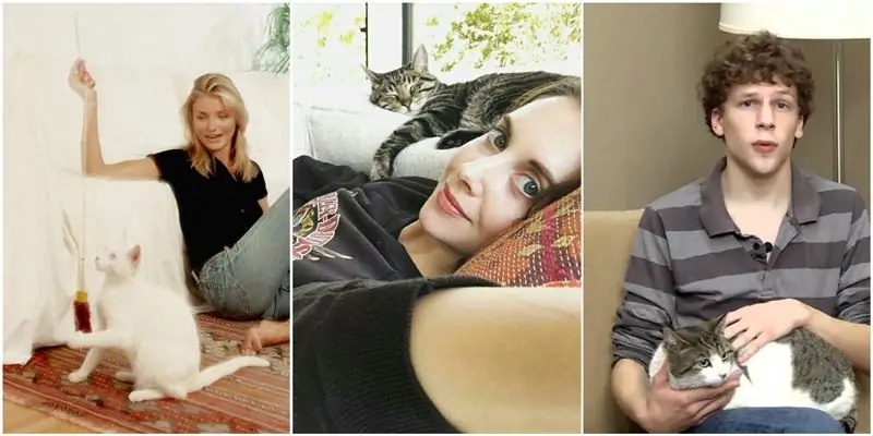 9 знаменитостей, считающих себя людьми-кошками