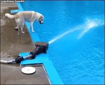 Изображение Изображение
