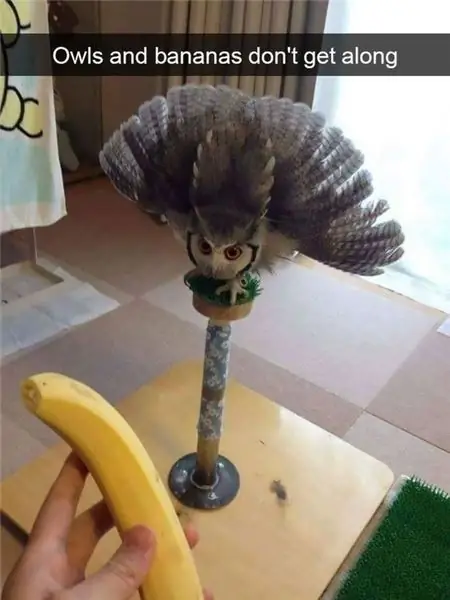 Изображение Изображение