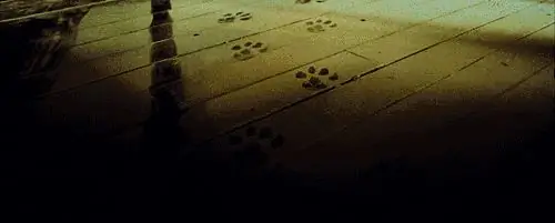 Изображение Изображение
