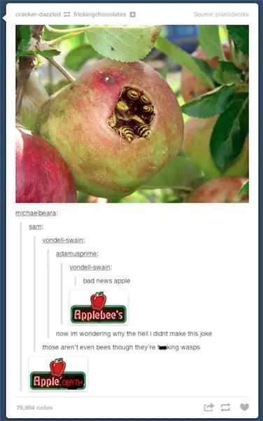 https://www.smosh.com/smosh-pit/photos/26-tumblr-puns-are-so-bad-good