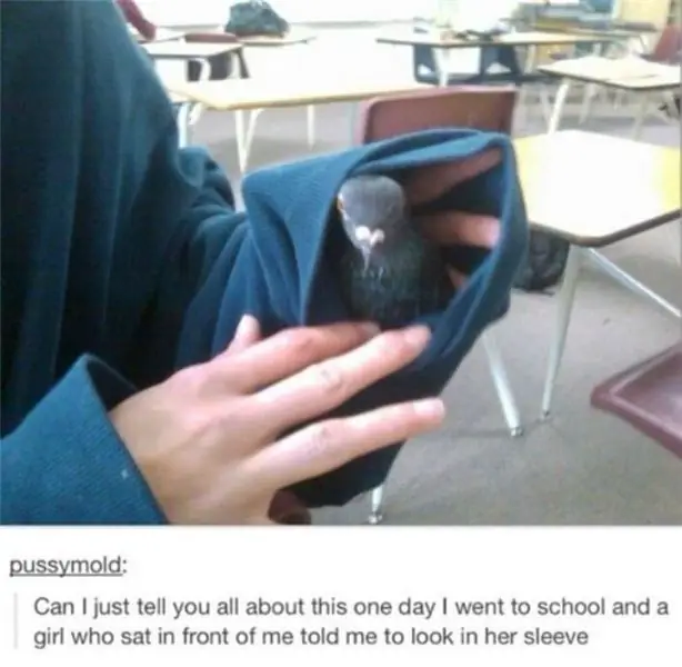 По материалам: tumblr.com По материалам: tumblr.com