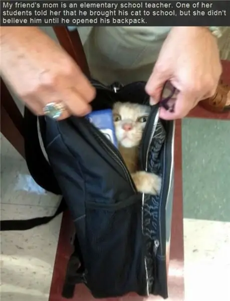 Через: omgcutethings.com Через: omgcutethings.com