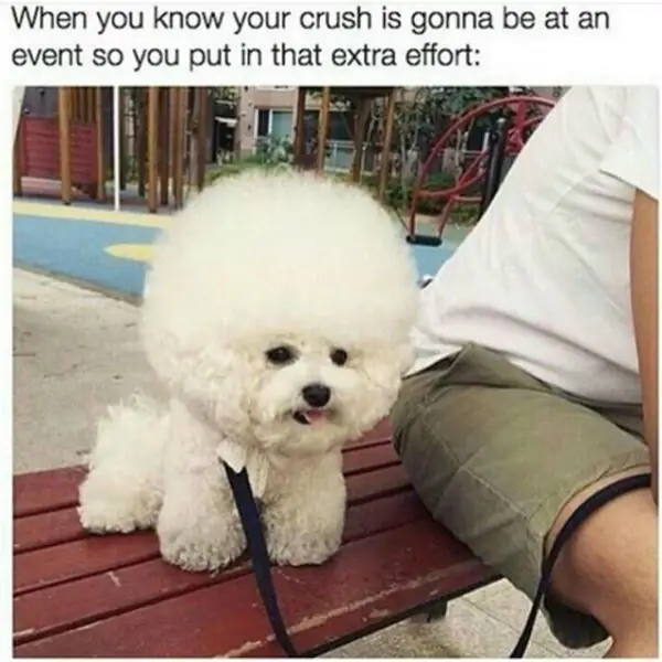 Через: pinterest.com