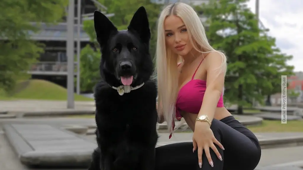Собака Эмми Расс "травмирована" после одиссеи в аэропорту? Вот что авиакомпания говорит об обвинении животных