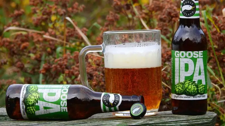 Две бутылки IPA рядом с кружкой с пивом Две бутылки IPA рядом с кружкой с пивом
