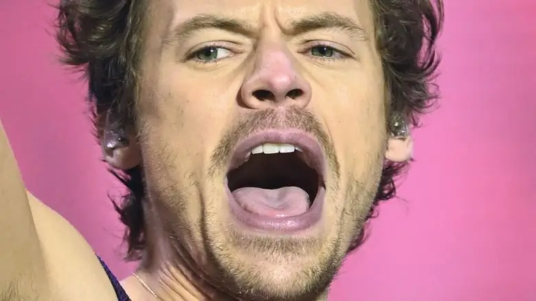 Гарри Стайлс поет на сцене