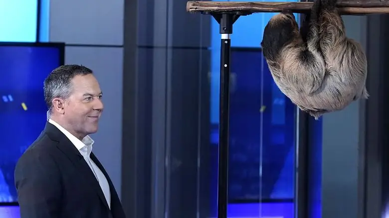 Грег Гутфельд в эфире с ленивцем