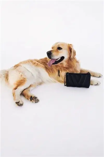 Черная сумка Zara, которую Оливия Палермо брала с собой, чтобы выгулять своего пса, мистера Батлера