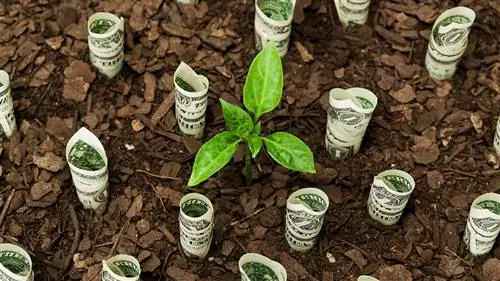 Да, инвестиции в ESG окупаются